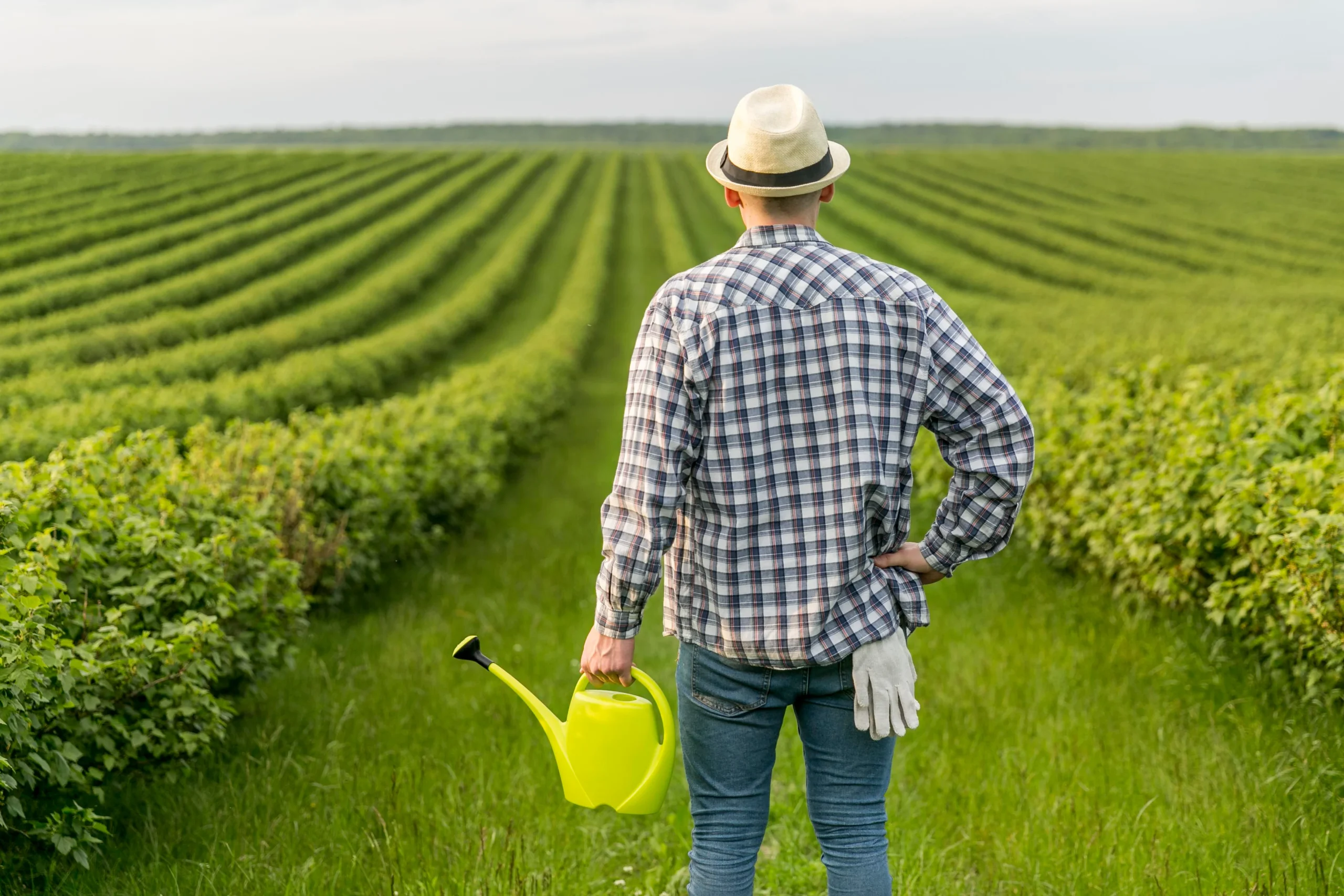 Produtor rural observando sua plantação, de costas, com regador na mão