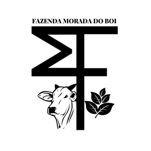 moradadoboi